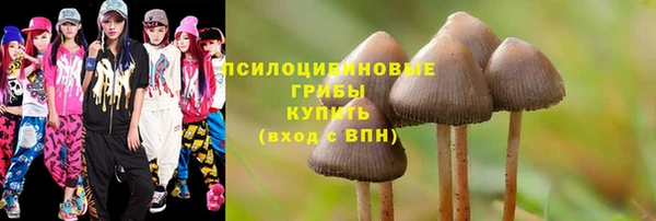 винт Каменск-Шахтинский