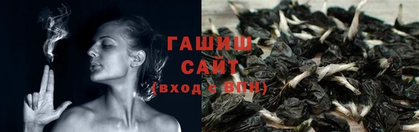 хмурый Каменка