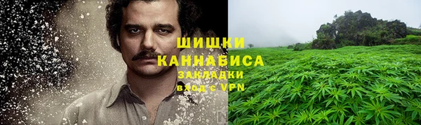 молекула духа Вязьма
