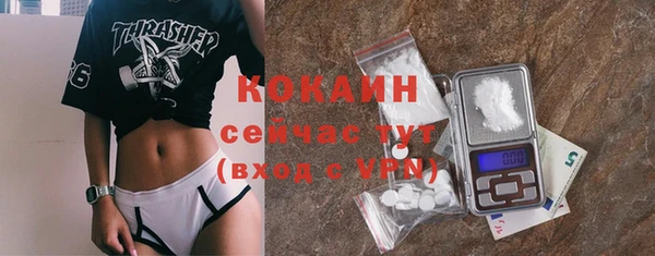 прущие крисы Абаза