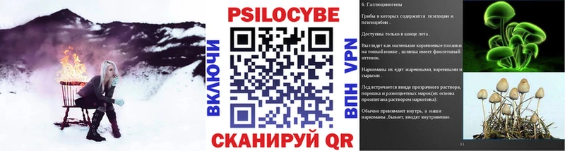 Псилоцибиновые грибы мицелий  продажа наркотиков  Красноперекопск 
